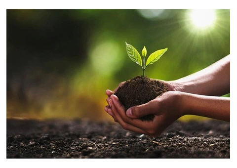 How to Choose the Best Soil Fertiliser for Stronger Plant Growth