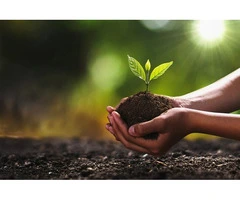 How to Choose the Best Soil Fertiliser for Stronger Plant Growth