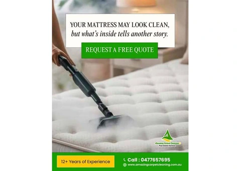 Carpet Cleaning Experts in North Brisbane – Trusted Best Carpet Cleaning Services in North Brisbane