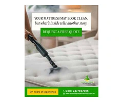 Carpet Cleaning Experts in North Brisbane – Trusted Best Carpet Cleaning Services in North Brisbane
