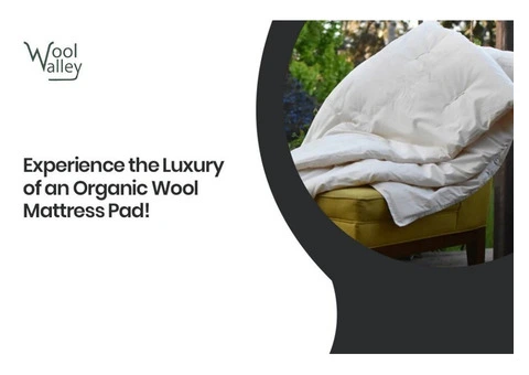 Organic Wool Pillows – Sustainable Sleep Starts Here