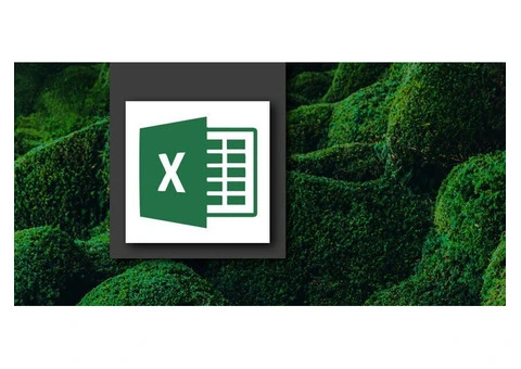 Excel Intermediate Training Course Built for Real Work