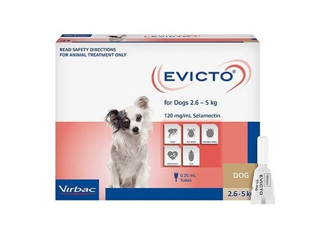 Evicto Spot-on