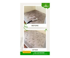 Best Carpet Cleaning Services in North Brisbane for Homes & Offices