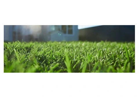 Reliable Turf Delivery in Freemans Reach Services