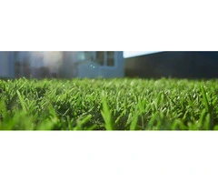 Reliable Turf Delivery in Freemans Reach Services