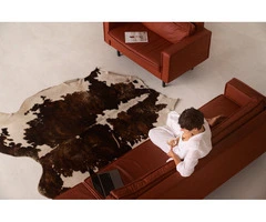 Commercial Upholstery Northern Beaches Experts