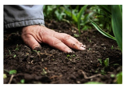 What Are Organic Liquid Fertilisers and Why Do Gardeners Prefer Them?