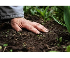 What Are Organic Liquid Fertilisers and Why Do Gardeners Prefer Them?