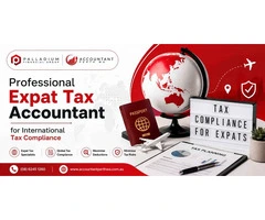 Professional Expat Tax Accountant for International Tax Compliance