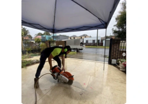 Plumber Ryde