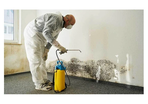 Mould Cleaning Services in Victoria | First To Restore