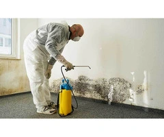 Mould Cleaning Services in Victoria | First To Restore