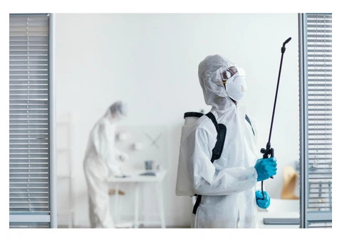 Pest Control Coomera – Trusted Solutions for a Pest-Free Property