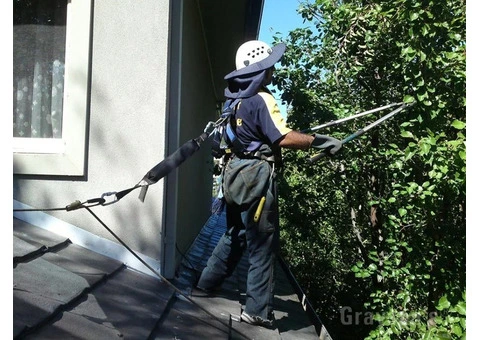 Professional Gutter Cleaning Services Across Sydney for Every Property