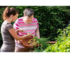 Top Leading Aged Care Services in Fairfield, 02 9051 1000 | BetterInHomeCare