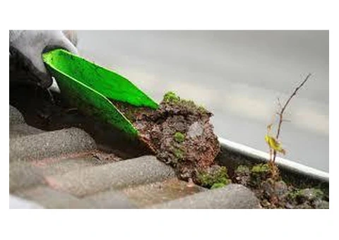 Reliable Gutter Cleaning Services for Homes & Businesses Sydney