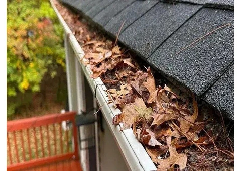 Professional Gutter Cleaning Services Protect Homes and Businesses