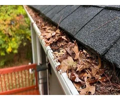 Professional Gutter Cleaning Services Protect Homes and Businesses