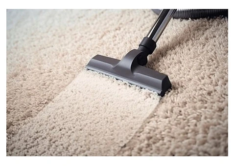 Professional Carpet Steam Cleaning for Fresh & Healthy Homes