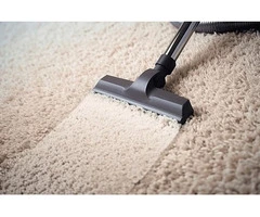 Professional Carpet Steam Cleaning for Fresh & Healthy Homes