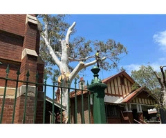 Tree Removal Willoughby