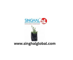 Promoting Healthy Roots and Stronger Plants
