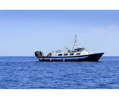 Fishing adventures QLD