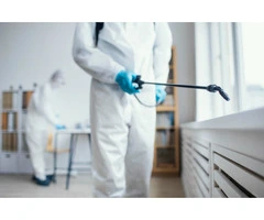 Pest Control Robina – Professional Protection for Homes & Businesses