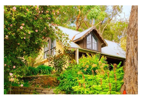 Comfortable Stays Near Nature in Hotels, Belgrave, Victoria