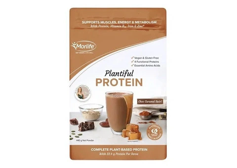 Buy Morlife Plantiful Protein Powder Caramel Swirl 440 gm Australia