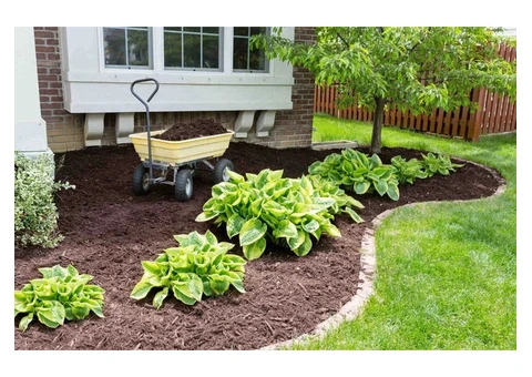 Grass Cutting Service in Bacchus Marsh