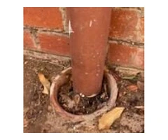 Blocked Stormwater Drains? Our Melbourne Plumbing Experts Can Fix It Fast