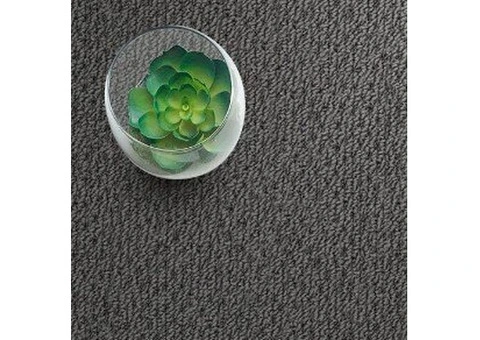 Pick a Polypropylene Fabric Carpet Built for Real Life