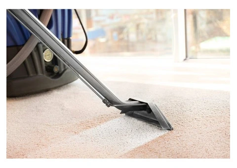 Professional Carpet Cleaning for a Fresher, Healthier Home
