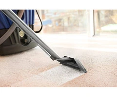 Professional Carpet Cleaning for a Fresher, Healthier Home