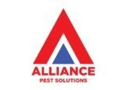 Pest Control Northern Beaches – Safe & Effective Solutions
