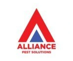 Pest Control Northern Beaches – Safe & Effective Solutions