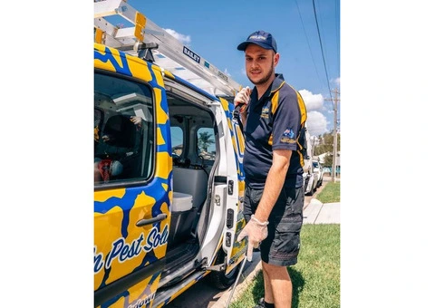Effective Pest Control