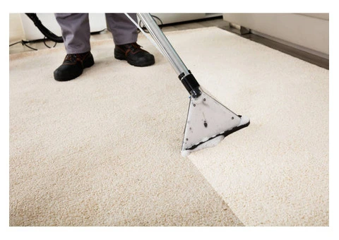 Carpet Looking Old Already? Dirt Is Aging It Faster - 4/4
