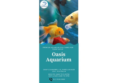 Oasis Aquariums – Quality Aquarium Store in Sydney