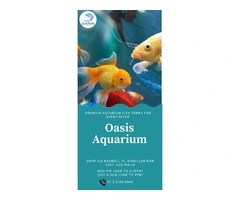 Oasis Aquariums – Quality Aquarium Store in Sydney