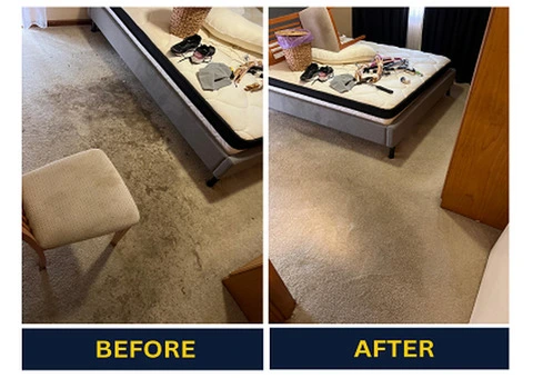 Say Goodbye to Stains with Dry Carpet Clean in Adelaide