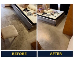 Say Goodbye to Stains with Dry Carpet Clean in Adelaide
