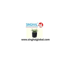 Nursery Bags Creating Practical Solutions For Plant Care