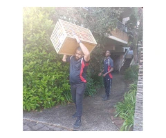Removalists In Penrith
