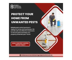 Pest Control Aspley | Residential and Commercial Pest Removal Services