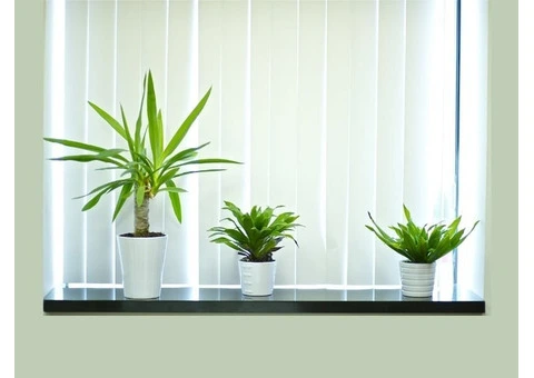 Elevate your space with factory-direct blinds in Narellan