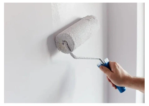 House Painters in Sutherland Shire