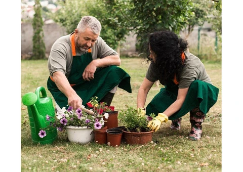 Missing Out on Independence? Expert Home Care Sydney - 2/2